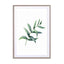 Watercolor Eucalyptus I Wall Art - Drawdeck