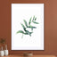 Watercolor Eucalyptus I - Drawdeck