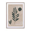 Island Leaf 4 Wall Art - Drawdeck