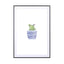 Blue Cactus - Drawdeck