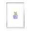 Blue Cactus - Drawdeck