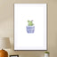 Blue Cactus - Drawdeck