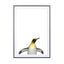 Emperor penguin - Drawdeck