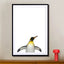 Emperor penguin - Drawdeck
