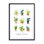 House plants Wall Art - Drawdeck