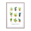House plants Wall Art - Drawdeck