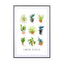 House plants - Drawdeck