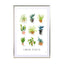 House plants - Drawdeck