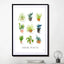 House plants - Drawdeck