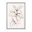 Foliage 01 - Drawdeck