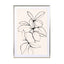 Foliage 01 - Drawdeck