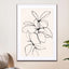 Foliage 01 - Drawdeck