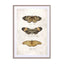Butterflies8 Wall Art - Drawdeck