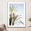Palm Trees - Drawdeck