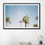Barcelona palms