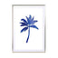 Blue Palm Tree - Drawdeck