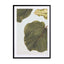 Abutifolia 02 Wall Art - Drawdeck