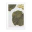 Abutifolia 02 Wall Art - Drawdeck