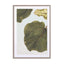 Abutifolia 02 Wall Art - Drawdeck
