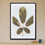 Autum leaf - Drawdeck