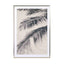 Warm Shades - Drawdeck