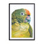 Birds of Paradise 05b Wall Art - Drawdeck