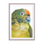 Birds of Paradise 05b Wall Art - Drawdeck