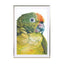 Birds of Paradise 05b - Drawdeck
