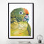 Birds of Paradise 05b - Drawdeck
