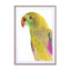 Birds of Paradise 09b Wall Art - Drawdeck