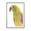 Birds of Paradise 09b - Drawdeck