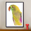 Birds of Paradise 09b - Drawdeck