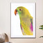 Birds of Paradise 09b - Drawdeck