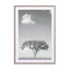 Tree Obsession 04 Wall Art - Drawdeck