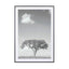 Tree Obsession 04 - Drawdeck