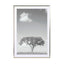 Tree Obsession 04 - Drawdeck