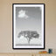 Tree Obsession 04 - Drawdeck