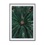 Palm Leaves_ - Drawdeck