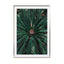 Palm Leaves_ - Drawdeck