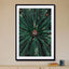 Palm Leaves_ - Drawdeck