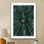 Palm Leaves_ - Drawdeck