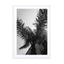 Palms - Barcelone Streets Wall Art - Drawdeck