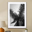Palms - Barcelone Streets - Drawdeck
