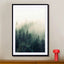 The Fog And The Forest Ii - Drawdeck