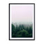 The Fog And The Forest I Wall Art - Drawdeck