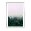 The Fog And The Forest I - Drawdeck