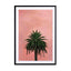 Pink Palm Wall Art - Drawdeck