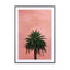 Pink Palm - Drawdeck