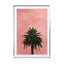 Pink Palm - Drawdeck