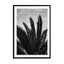 Palm Beach La Wall Art - Drawdeck